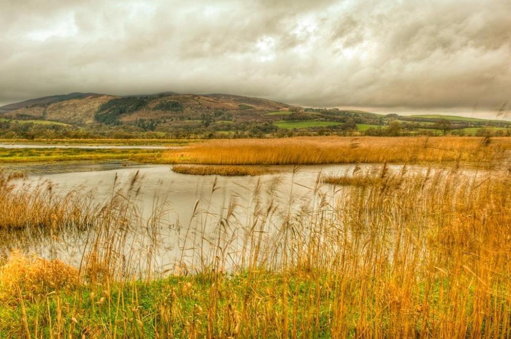 Shelduck Cottage Mainsriddle Exterior photo